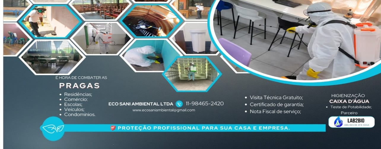 flyer de dedetização e higienização com fotos em moldura hexagonal de profissionais em traje protetor pulveriz